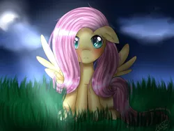 Size: 2000x1500 | Tagged: safe, artist:xxchibiyumexx, derpibooru import, fluttershy, pegasus, pony, female, floppy ears, full face view, full moon, grass, looking at you, mare, moonlight, night, night sky, sitting, solo, spread wings