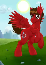 Size: 752x1063 | Tagged: safe, artist:h-stallionwolf, derpibooru import, oc, oc:sky wolf, unofficial characters only, pegasus, pony, determined, equestria, grassland, male, solo, stallion, ych result