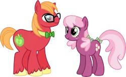 Size: 7206x4396 | Tagged: safe, artist:osipush, derpibooru import, big macintosh, cheerilee, earth pony, pony, absurd resolution, alternate gender counterpart, alternate hairstyle, alternate universe, bowtie, cheeribetes, cheerimac, cute, duo, female, freckles, glasses, hair bow, macabetes, male, mare, personality swap, role reversal, shipping, simple background, stallion, straight, tail bow, transparent background, vector