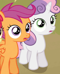 Size: 324x401 | Tagged: safe, derpibooru import, edit, edited screencap, screencap, apple bloom, scootaloo, sweetie belle, one bad apple, animated, are you kidding me, caption, gif, meme, reaction image, text