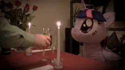 Size: 1920x1080 | Tagged: 4chan, artist:plushwaifus, bread, candle, candlelight, champagne, corpulent brony, derpibooru import, flower, food, hearts and hooves day, irl, life size, /mlp/, photo, photographer:corpulentbrony, plushie, rose, safe, toast, valentine, valentine's day, waifu, waifu dinner