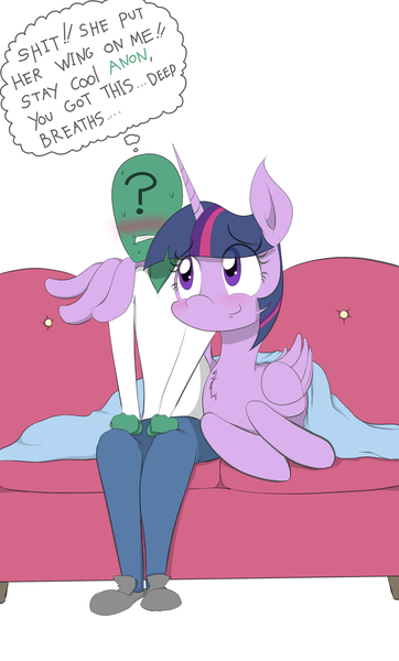 Size: 1687x2800 | Tagged: safe, artist:janji009, derpibooru import, twilight sparkle, twilight sparkle (alicorn), oc, oc:anon, alicorn, human, pony, blanket, blushing, couch, cute, female, fluffy, hug, lip bite, mare, nervous, prone, sitting, smiling, sweat, thought bubble, vulgar, wing hands, winghug