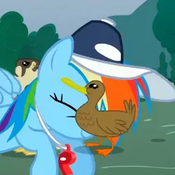 Size: 451x451 | Tagged: animation error, cropped, derpibooru import, duck, duckface, falcon, hat, layering fail, may the best pet win, pun, rainbow dash, rainbow dashs coaching whistle, safe, screencap, visual pun, whistle, whistle necklace