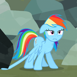 Size: 359x360 | Tagged: safe, derpibooru import, screencap, rainbow dash, pegasus, pony, may the best pet win, adorable distress, animated, cute, gif, loop, panic, rock, solo, struggling, stuck, trotting, trotting in place