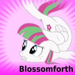 Size: 1024x1024 | Tagged: artist:joey, backbend, blossomforth, derpibooru, derpibooru import, floppy ears, frown, gritted teeth, meta, official spoiler image, safe, solo, spoilered image joke, that pony sure is flexible