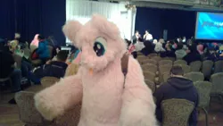 Size: 2048x1152 | Tagged: safe, derpibooru import, oc, oc:fluffle puff, unofficial characters only, pony, unicorn, best pony, clothes, cosplay, costume, fursuit, irl, loving pony, mascot, photo, pink, pink fluffy unicorns dancing on rainbows, ponycon nyc