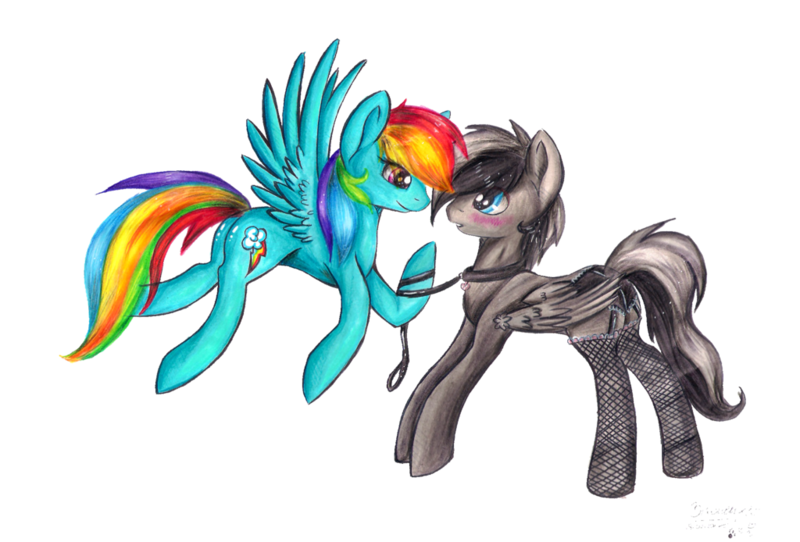 Size: 1024x694 | Tagged: suggestive, artist:bizonekx33, derpibooru import, rainbow dash, oc, oc:shadow, pegasus, pony, blushing, canon x oc, clothes, collar, commission, crossdressing, femboy, femdom, garter belt, girly, lace, male, panties, shipping, simple background, stockings, straight, traditional art, transparent background, trap, underwear