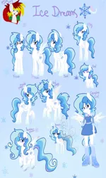Size: 720x1200 | Tagged: safe, artist:miss-racco0n, derpibooru import, oc, oc:ice dreams, unofficial characters only, breezie, equestria girls, breeziefied, equestria girls-ified, reference sheet, species swap