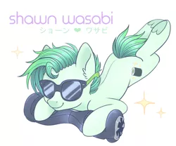 Size: 540x450 | Tagged: safe, artist:hawthornss, derpibooru import, oc, oc:shawn wasabi, unofficial characters only, earth pony, pony, buckcon 2016, convention, prone, solo, sunglasses, swegway