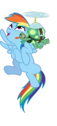 Size: 378x828 | Tagged: safe, derpibooru import, rainbow dash, tank, pegasus, pony, tortoise, adorable face, affection, cute, duo, duo male and female, excited, female, happy, kissing, licking, love, male, mare, not what it looks like, out of context, simple background, tankabetes, tongue out, transparent background, vector