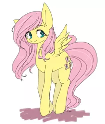 Size: 817x967 | Tagged: artist:yukimaki, derpibooru import, fluttershy, safe, simple background, solo