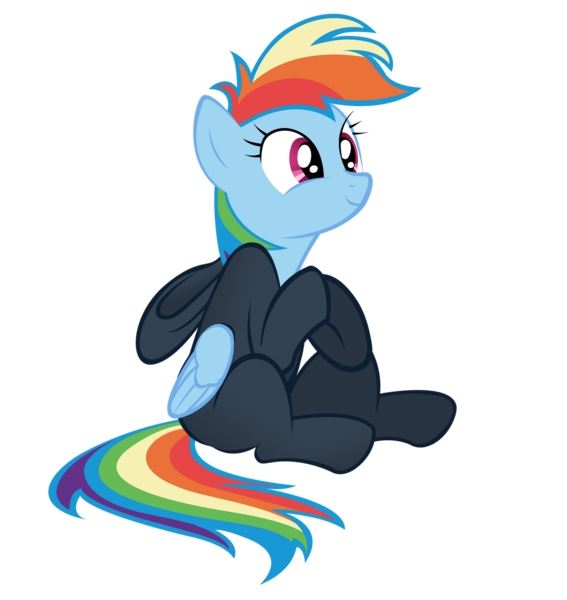 Size: 1513x1600 | Tagged: artist:v-d-k, catsuit, derpibooru import, ninja, rainbow dash, rainbow dash always dresses in style, safe, simple background, solo, transparent background, vector