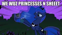 Size: 889x500 | Tagged: safe, derpibooru import, edit, edited screencap, screencap, princess luna, alicorn, pony, luna eclipsed, caption, female, image macro, leaf, mare, meme, open mouth, raised hoof, solo, text, vulgar, we wuz kings, yelling