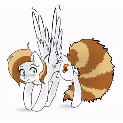 Size: 748x748 | Tagged: safe, artist:maccoffee, derpibooru import, oc, oc:coffee cream, unofficial characters only, pegasus, pony, behaving like a cat, fluffy, solo, spread wings, wavy mouth, wing fluff