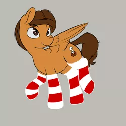 Size: 1200x1200 | Tagged: safe, artist:rileyisherehide, derpibooru import, oc, oc:toanderic, unofficial characters only, pegasus, pony, clothes, cute, socks, solo, striped socks