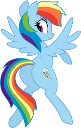 Size: 3797x6000 | Tagged: safe, artist:hidden-cat, artist:slb94, derpibooru import, rainbow dash, pegasus, pony, backwards cutie mark, female, hooves, looking back, mare, plot, rainbutt dash, simple background, smiling, smirk, solo, spread wings, transparent background, vector, wings