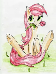 Size: 2088x2717 | Tagged: artist:40kponyguy, blushing, bunny sitting, cute, derpibooru import, flower, flower in mouth, looking at you, mouth hold, nom, raised hoof, rose, roseluck, safe, sitting, smiling, solo, traditional art, underhoof