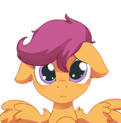 Size: 273x278 | Tagged: safe, artist:risu-nya, derpibooru import, scootaloo, pegasus, pony, animated, blushing, cute, cutealoo, female, filly, floppy ears, hnnng, looking at you, sad, sadorable, simple background, solo, white background