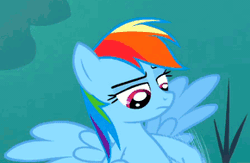 Size: 290x189 | Tagged: safe, derpibooru import, edit, screencap, rainbow dash, pegasus, pony, sleepless in ponyville, animated, cropped, female, flying, implied futa, implied futadash, implied masturbation, implying, mare, out of context, perfect loop, solo