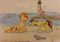 Size: 2433x1705 | Tagged: safe, artist:perle-de-suie, derpibooru import, sunset shimmer, oc, dolphin, pony, seal, beach, lighthouse, traditional art, wet