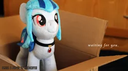 Size: 5184x2912 | Tagged: safe, artist:nekokevin, derpibooru import, sonata dusk, ponified, pony, box, cardboard box, cute, irl, photo, plushie, pony in a box, solo, sonatabetes