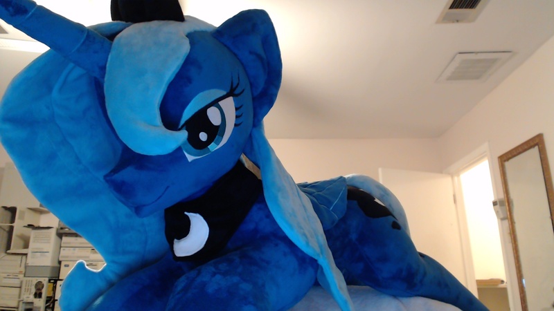 Size: 1920x1080 | Tagged: artist:agatrix, derpibooru import, irl, life size, photo, plushie, princess luna, s1 luna, safe, solo