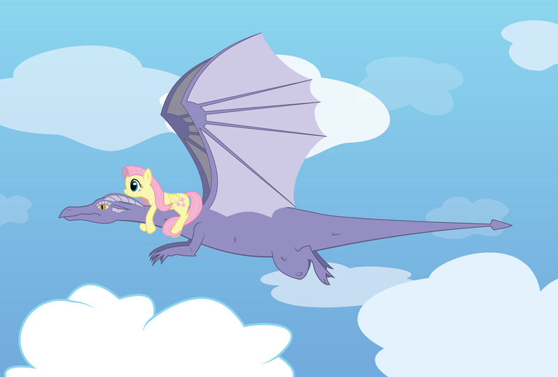 Size: 10750x7274 | Tagged: absurd resolution, artist:e-49, derpibooru import, digital art, dragon, fluttershy, safe, sky, vector