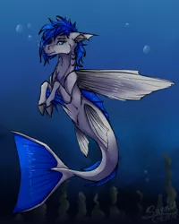 Size: 1280x1597 | Tagged: artist:sunny way, bubble, derpibooru import, fins, fish, gauges, merpony, oc, oc:sapphire sights, piercing, rcf community, safe, solo, species swap, underwater, unofficial characters only