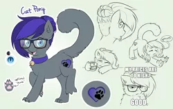 Size: 6333x4000 | Tagged: artist:askbubblelee, bell, bell collar, cat pony, collar, cute, derpibooru import, digital art, glasses, hair bun, oc, oc:cat pony, original species, ponysona, reference sheet, safe, solo, unofficial characters only