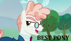 Size: 733x422 | Tagged: best pony, caption, derpibooru import, edit, edited screencap, meme, op is objectively wrong, safe, screencap, svengallop, the mane attraction