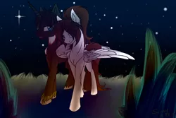 Size: 1280x853 | Tagged: safe, artist:sunny way, derpibooru import, oc, oc:alex, oc:sunny way, unofficial characters only, alicorn, pony, aleway, alicorn oc, female, male, night, rcf community, sky, stars, straight, unshorn fetlocks, walking