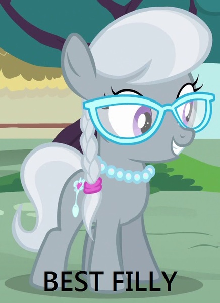 Size: 538x740 | Tagged: best pony, derpibooru import, meme, safe, silver spoon