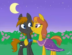 Size: 1024x788 | Tagged: safe, artist:flourret, derpibooru import, oc, oc:honey ella, oc:romance heart, unofficial characters only, earth pony, pegasus, pony, blushing, bowtie, bush, clothes, dress, eyeshadow, female, flower, garden, looking at each other, makeup, male, mare, moon, night, nuzzling, romella, shipping, signature, sky, smiling, stallion, standing, stars, straight