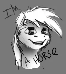 Size: 500x565 | Tagged: artist:gaypyjamas, derpibooru import, monochrome, oc, portrait, safe, self awareness, simple background, solo, text, unofficial characters only