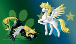 Size: 1642x950 | Tagged: safe, artist:just-plain-cat, derpibooru import, ponified, pegasus, pony, adrien agreste, chat noir, miraculous ladybug