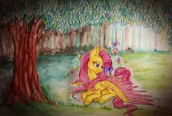 Size: 960x648 | Tagged: artist:bloodymare13, butterfly, derpibooru import, fluttershy, forest, prone, safe, solo, spread wings, traditional art