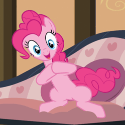 Size: 447x448 | Tagged: safe, derpibooru import, screencap, pinkie pie, earth pony, pony, pinkie apple pie, amused, animated, clapping, clopping, couch, cute, diapinkes, female, looking at you, open mouth, sitting, smiling, smiling at you, solo, underhoof, wide eyes