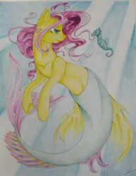 Size: 900x1168 | Tagged: artist:eyesorefortheblind, derpibooru import, fluttershy, merpony, safe, seahorse, seaponified, seapony fluttershy, solo, species swap, traditional art, underwater, watershy