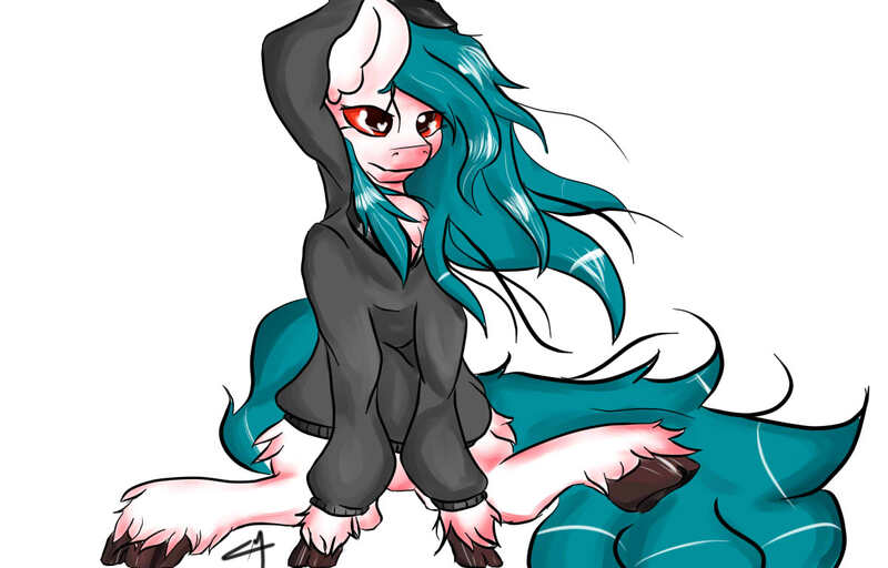 Size: 1200x768 | Tagged: albino, artist:rednorth, clothes, commission info, derpibooru import, hoodie, meta, oc, oc:red-north, safe, simple background, solo, unofficial characters only, unshorn fetlocks, white background
