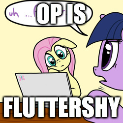 Size: 250x250 | Tagged: caption, computer, derpibooru import, fluttershy, image macro, laptop computer, meme, op, op is fluttershy, safe, text, twilight sparkle