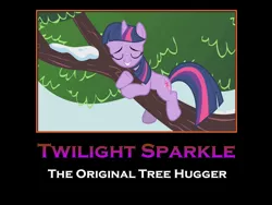 Size: 1600x1200 | Tagged: derpibooru import, edit, edited screencap, hug, meme, motivational poster, name pun, pun, safe, screencap, tree, twilight sparkle, visual pun, winter wrap up