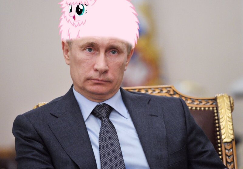 Size: 1024x712 | Tagged: dead source, safe, artist:vladimirpony, derpibooru import, oc, oc:fluffle puff, earth pony, human, pony, fluffleputin, irl, irl human, photo, toupee, vladimir putin