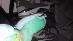 Size: 1024x576 | Tagged: abuse, artist:onlyfactory, bootleg, characters inside shoes, derpibooru import, human, irl, irl human, lyrabuse, lyra heartstrings, nike, photo, plushie, safe, shoes