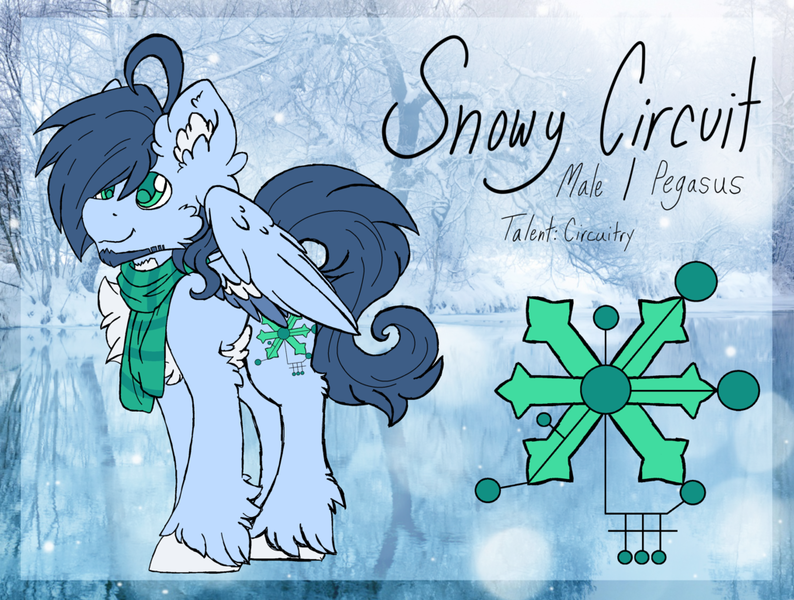 Size: 1024x774 | Tagged: safe, artist:iroxykun, derpibooru import, oc, oc:snowy circuit, unofficial characters only, pegasus, pony, clothes, cutie mark, facial hair, freckles, male, reference sheet, scarf, solo, stallion, text, unshorn fetlocks, wings