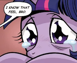 Size: 430x355 | Tagged: safe, artist:brendahickey, derpibooru import, idw, twilight sparkle, spoiler:comic, spoiler:comic40, crying, feels, filly, filly twilight sparkle, i know that feel bro, sad