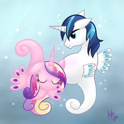 Size: 5000x5000 | Tagged: absurd resolution, artist:kalyandra, badumsquish approved, belly, big belly, derpibooru import, eyes closed, male pregnancy, mister seahorse, pregnant, princess cadance, safe, scrunchy face, seahorse, seahorse reproduction, sea pony, seaunicorn, shining armor, smiling, species swap, unamused, underwater