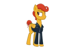 Size: 1024x724 | Tagged: safe, artist:wonkysole, derpibooru import, oc, oc:pan pizza, unofficial characters only, pegasus, pony, clothes, jacket, solo