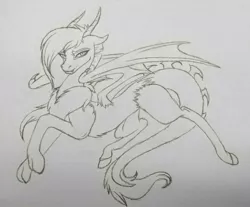 Size: 1113x920 | Tagged: artist:cloud-dash, derpibooru import, draconequus, draconequus oc, interspecies offspring, monochrome, next generation, oc, oc:pandora, offspring, pandoraverse, parent:discord, parents:discolight, parent:twilight sparkle, safe, solo, unofficial characters only