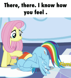 Size: 778x855 | Tagged: safe, derpibooru import, fluttershy, rainbow dash, animated, comforting, covering eyes, discovery family logo, petting, snow, snowfall, text