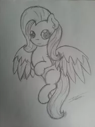 Size: 2448x3264 | Tagged: artist:fluttair, derpibooru import, fluttershy, looking at you, monochrome, pencil drawing, safe, sketch, solo, spread wings, traditional art